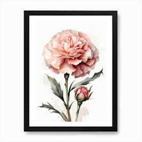 Pink Carnation Watercolor Painting Art Print