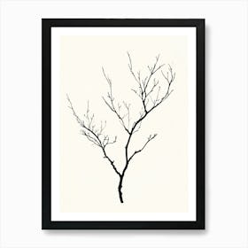 Bare Tree Art Print