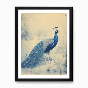 Cyanotype Inspired Peacock Snow Scene 3 Art Print
