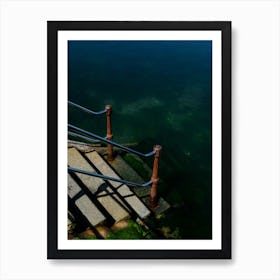 Ready To Dive In Art Print
