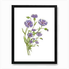 Cornflowers.uk Art Print