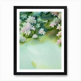 Acropora Gemmifera Storybook Watercolour Art Print