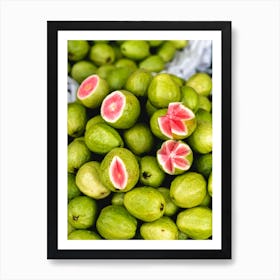 Tropical Green Guava Fruit Art Print