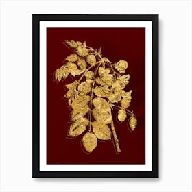 Vintage Robinier Rose Bloom Botanical in Gold on Red Art Print
