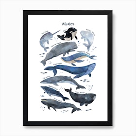 Watercolour Whales Art Print