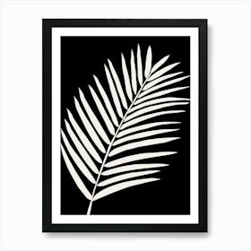 Tropical Palm Leaf Black And White Art Print