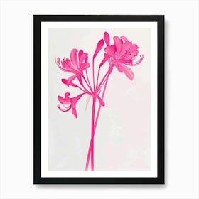 Hot Pink Agapanthus 2 Art Print