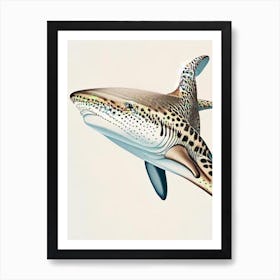 Leopard Shark 3 Vintage Art Print