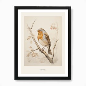 Vintage Bird Drawing Robin Poster Art Print