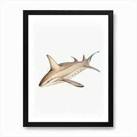 Angel Shark Vintage Art Print