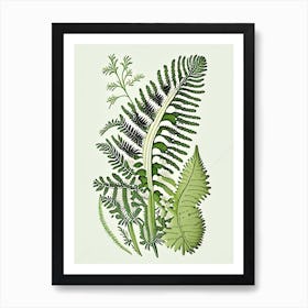 Maidenhair Spleenwort Wildflower Vintage Botanical Art Print