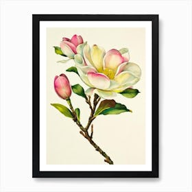 Magnolia Vintage Flowers Flower Art Print