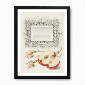 French Rose And Apple From Mira Calligraphiae Monumenta, Joris Hoefnagel Art Print