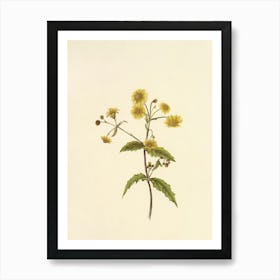 Yellow Flower 1 Art Print