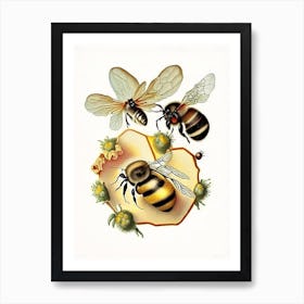 Wax Bees 4 Vintage Art Print