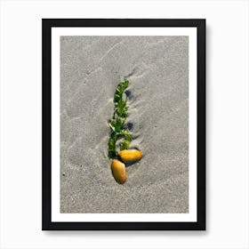 Sand And Seashells Art Print