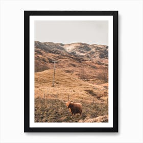 Highland Cow 1 Art Print