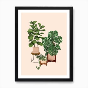 House Plants 17 Art Print