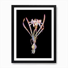Stained Glass Sea Daffodil Mosaic Botanical Illustration on Black n.0324 Art Print