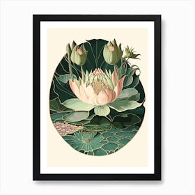 Water Lily Wildflower Vintage Botanical Art Print
