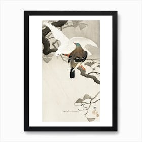 Two Pigeons On A Branch (1900 1910), Ohara Koson Art Print