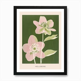 Pink & Green Hellebore 3 Flower Poster Art Print