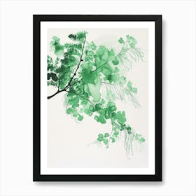 Green Ink Painting Of A Maidenhair Fern 4 Art Print