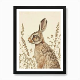 Cinnamon Rabbit Drawing 2 Art Print