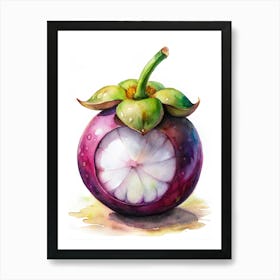 10 Mangosteen With Its Purple Rind And White Inte Art Print