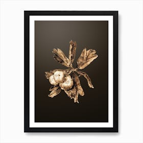 Gold Botanical Hawthorne on Chocolate Brown Art Print