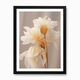 Boho Dried Flowers Daffodil 4 Art Print