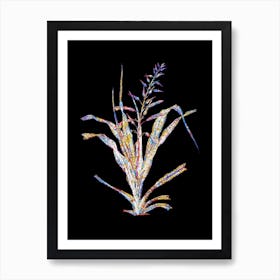 Stained Glass Pitcairnia Bromeliaefolia Mosaic Botanical Illustration on Black n.0124 Art Print