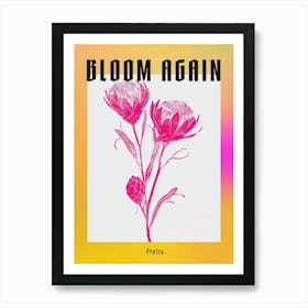 Hot Pink Protea 2 Poster Art Print