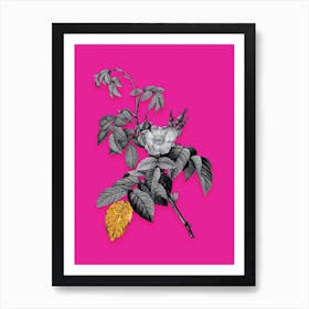 Vintage Apple Rose Black and White Gold Leaf Floral Art on Hot Pink n.0670 Art Print