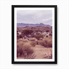 Antelope Valley California Art Print