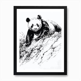 Giant Panda Cub Sliding Down A Hill Ink Illustration 3 Art Print