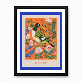 Spring Birds Poster Bufflehead 2 Art Print