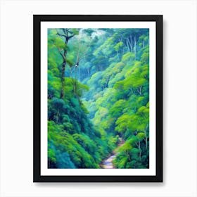 Road In The Monteverde Cloud Forest Art Print