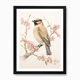 Vintage Bird Drawing Cedar Waxwing 3 Art Print