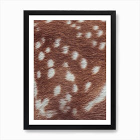 Deer Fur Texture Art Print