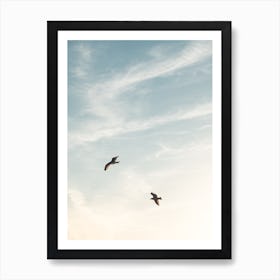 Two Birds Flying Through The Sunset Sky Art Print