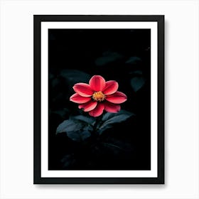 Dark Flower 8 Art Print