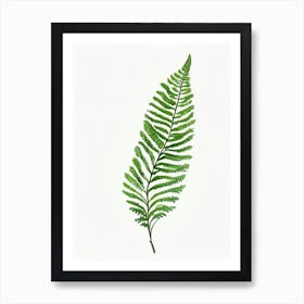 Common Horsetail Fern Watercolour Art Print