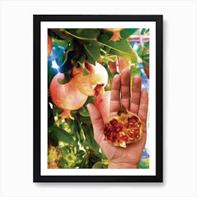 Pomegranate Hand Art Print