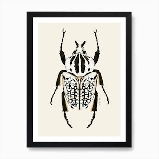 Black And White Beetle Art Print