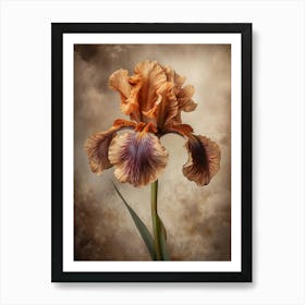 2024 May Poster Canvas Sng Iris 6 Art Print