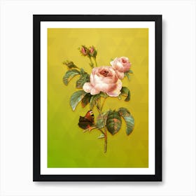 Vintage Provence Rose Botanical Art on Empire Yellow n.0884 Art Print