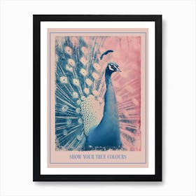 Pink & Blue Peacock Cyanotype Inspired 2 Art Print