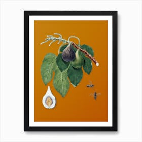Vintage Fig Botanical on Sunset Orange n.0062 Art Print