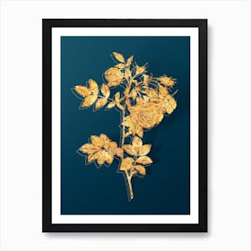 Vintage Turnip Roses Botanical in Gold on Teal Blue Art Print